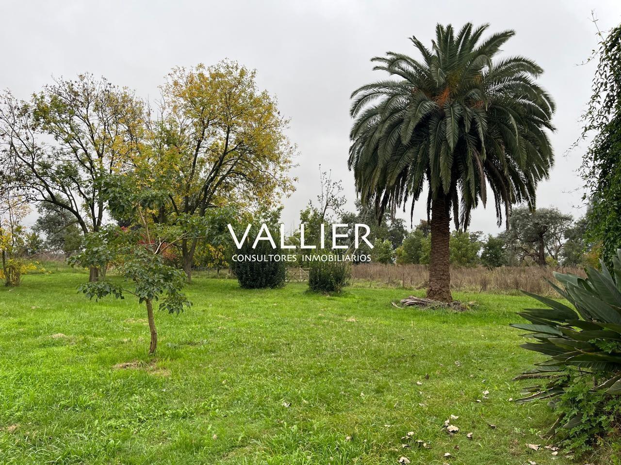 Foto de Terreno Campo en Venta en Luján, G.B.A. Zona Oeste, Argentina, imagen 2