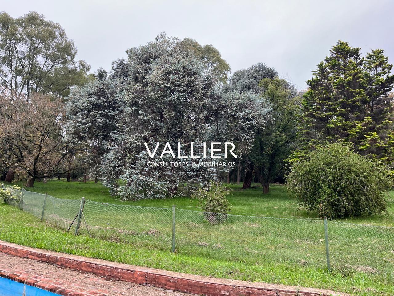 Foto de Terreno Campo en Venta en Luján, G.B.A. Zona Oeste, Argentina, imagen 5