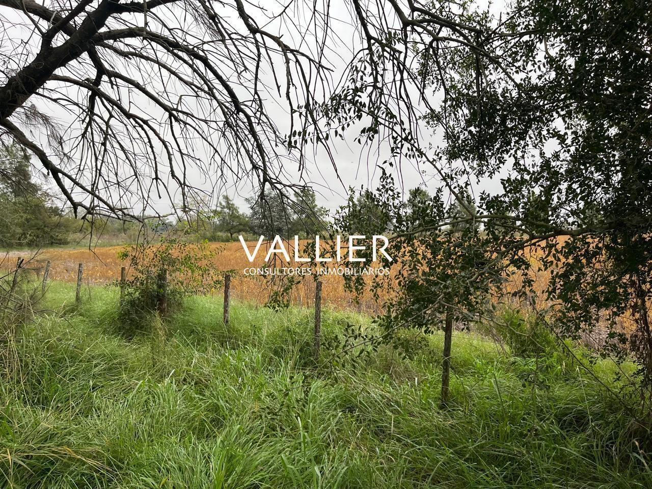 Foto de Terreno Campo en Venta en Luján, G.B.A. Zona Oeste, Argentina, imagen 1