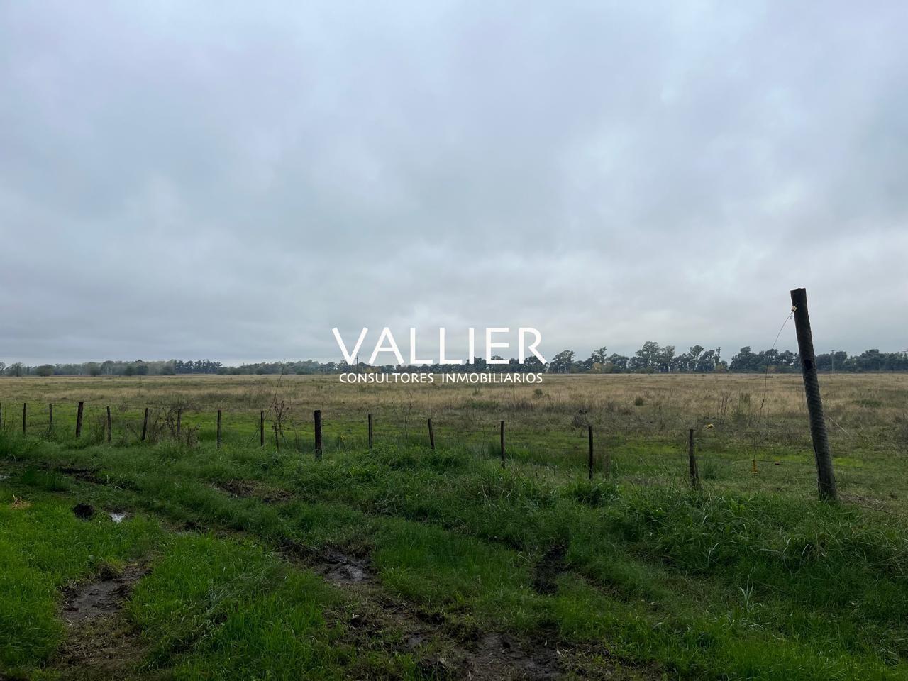 Foto de Terreno Campo en Venta en Luján, G.B.A. Zona Oeste, Argentina, imagen 4
