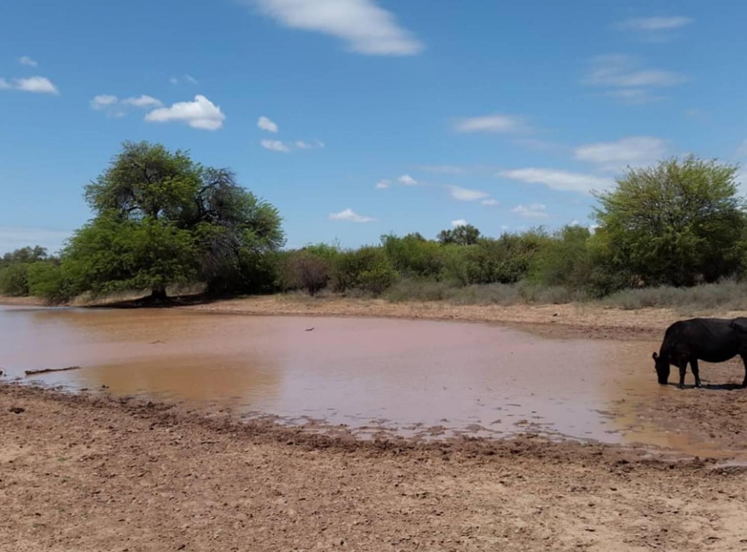 Foto de Casa Campo en Venta en Chamical, La Rioja, imagen 3