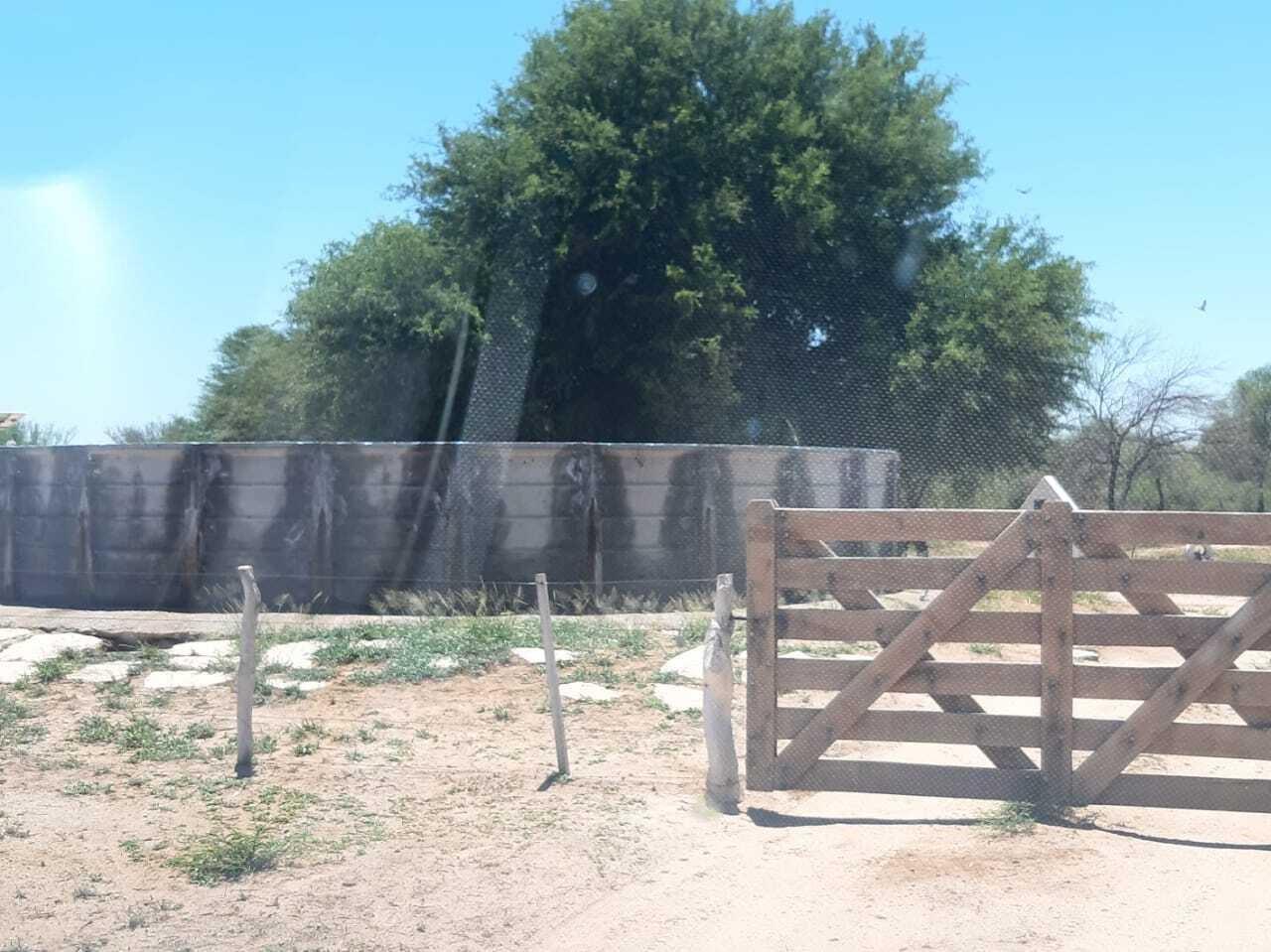 Foto de Casa Campo en Venta en Chamical, La Rioja, imagen 5