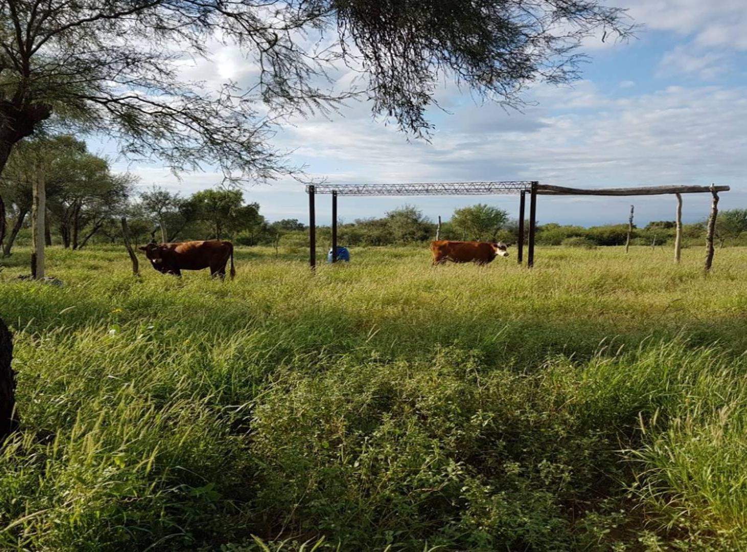 Casa Campo  en Venta en Chamical, La Rioja