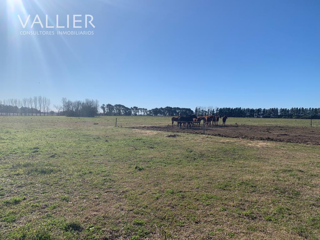 Foto de Terreno Campo en Venta en Luján, G.B.A. Zona Oeste, Argentina, imagen 3