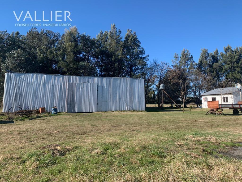Foto de Terreno Campo en Venta en Luján, G.B.A. Zona Oeste, Argentina, imagen 5