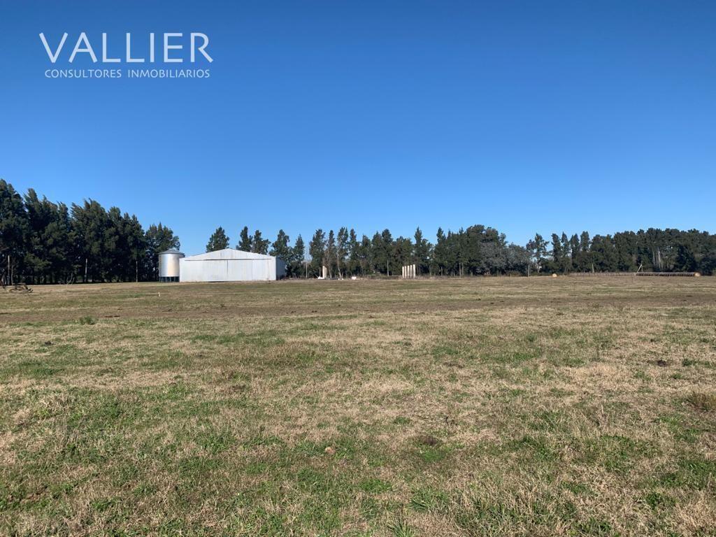 Foto de Terreno Campo en Venta en Luján, G.B.A. Zona Oeste, Argentina, imagen 2