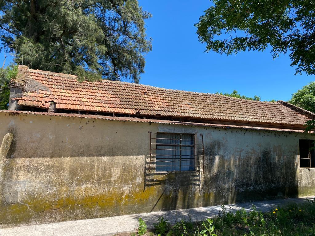 Terreno 4