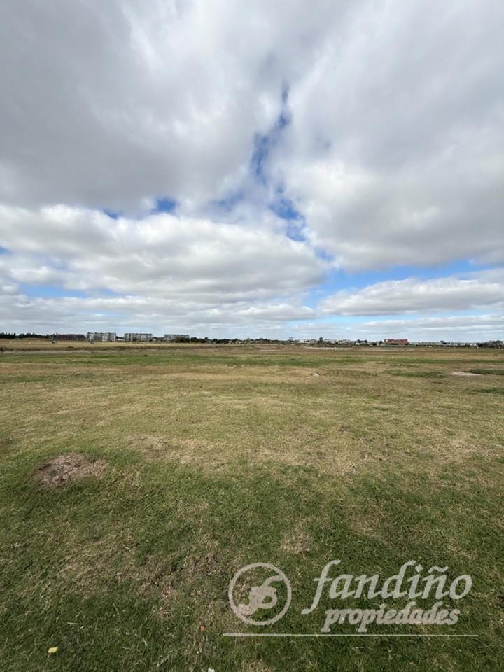 Foto de Terreno en CLUB DE CAMPO TERRALAGOS, imagen 2