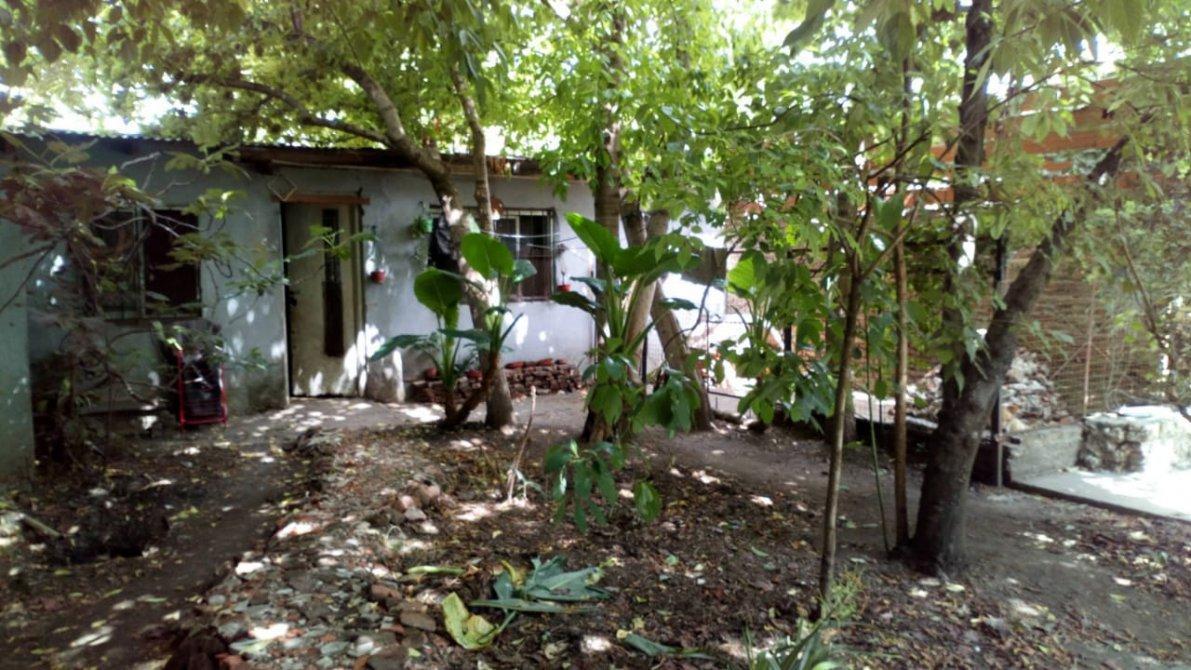 Magin Roca Nº 547