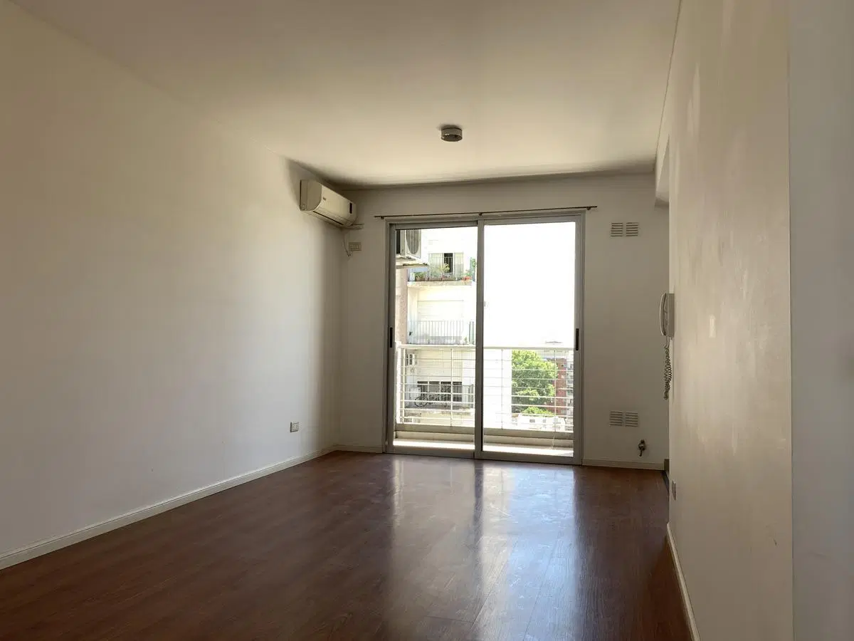 Saenz N° 316 1