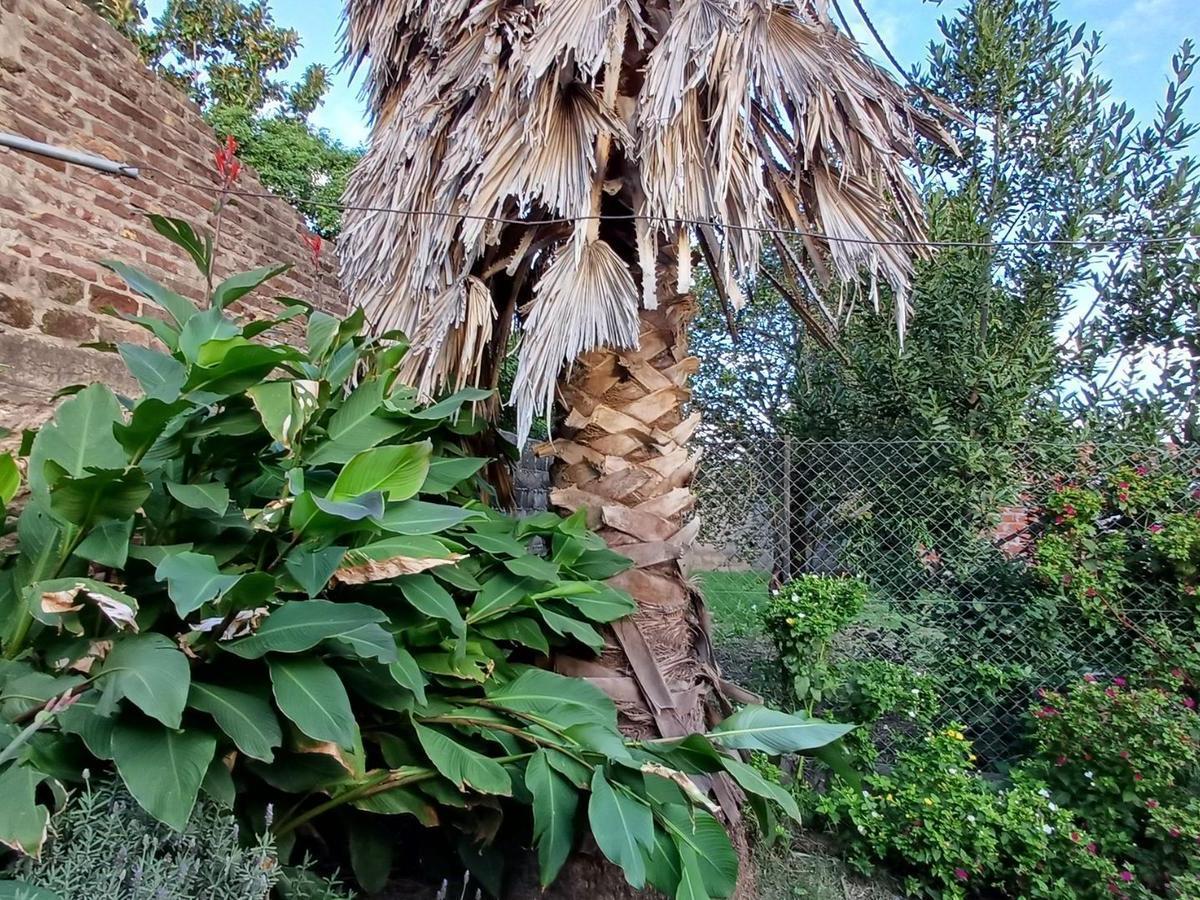 Casas - Casa - San Pedro 2