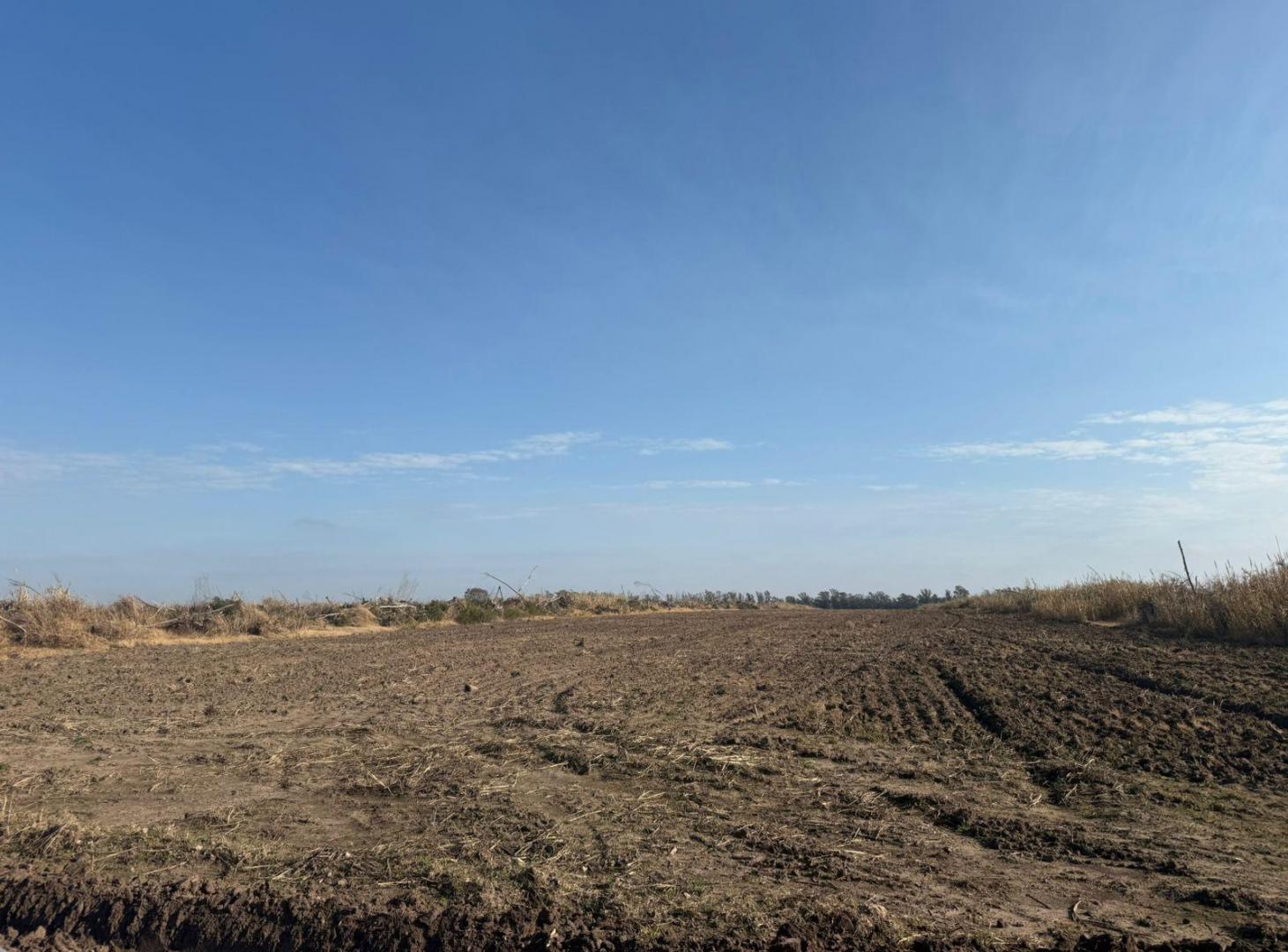 Foto de Campo en Ramallo Paraíso 28 hectáreas, imagen 3