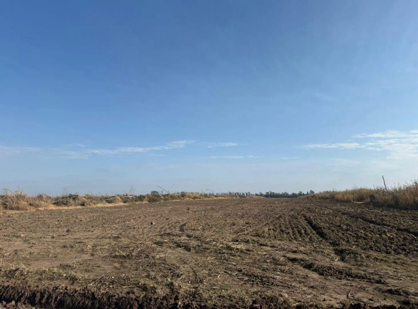 Campo en Ramallo Paraíso 28 hectáreas 3