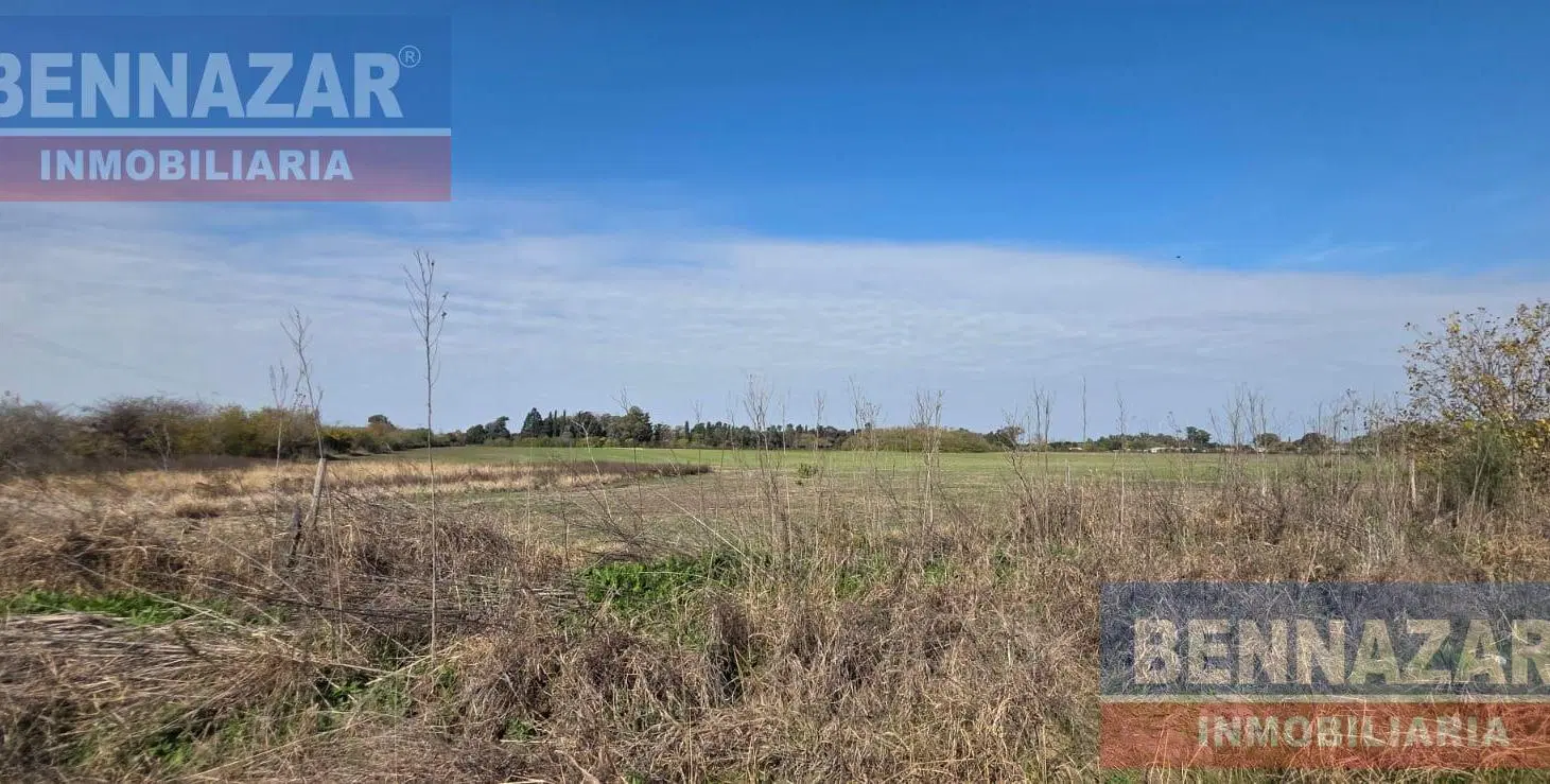 Terreno en Santa Lucia 20 HA 2
