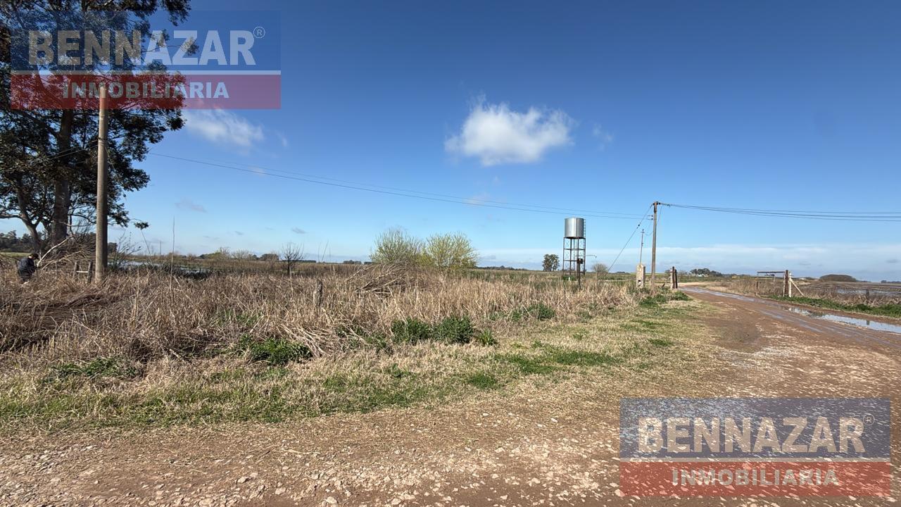 Foto de Campo en San Pedro, Provincia de Buenos Aires, Argentina., imagen 3