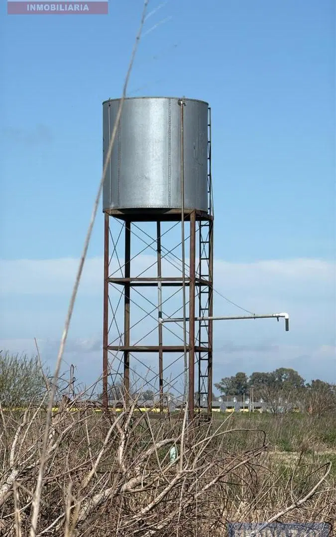 Campo en San Pedro, Provincia de Buenos Aires, Argentina. 1