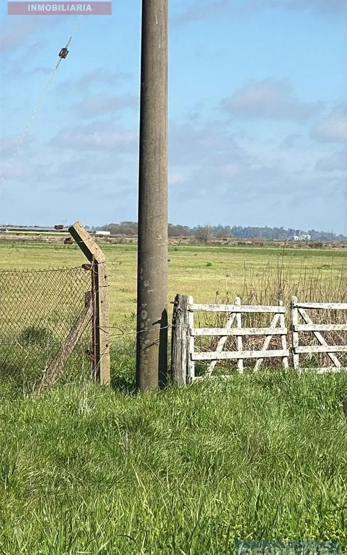 Campo en San Pedro, Provincia de Buenos Aires, Argentina. 2