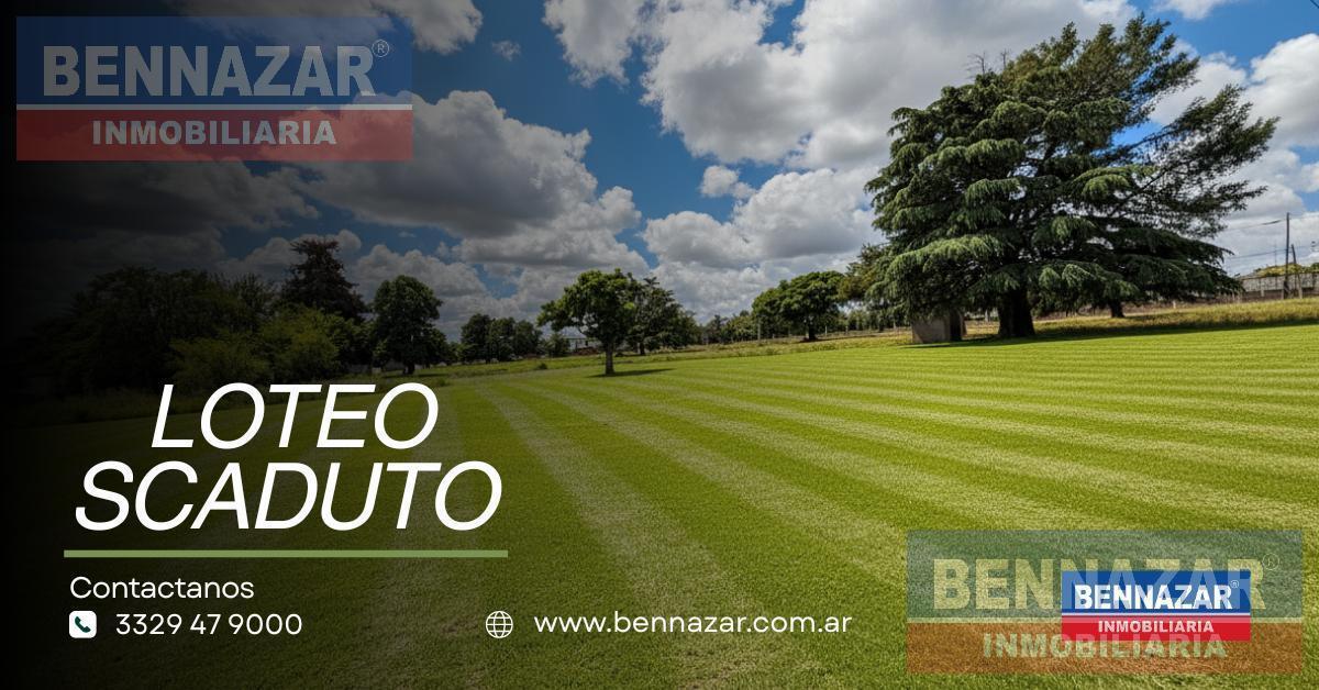 Foto de Terreno en San Pedro, imagen 2