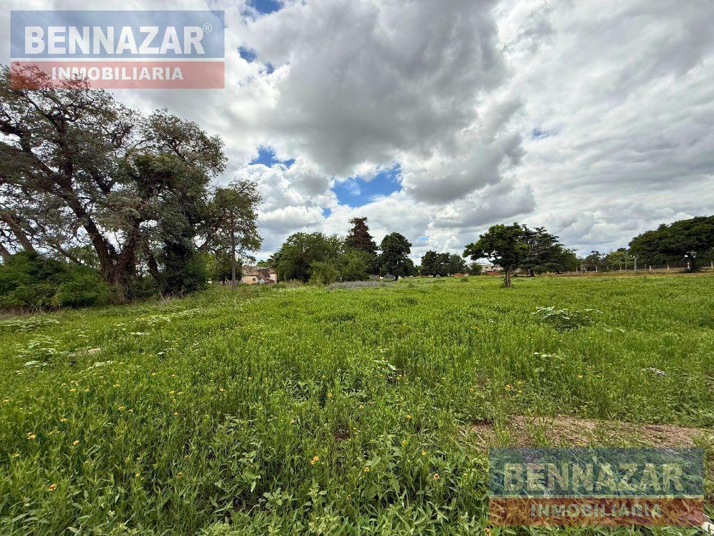 Foto de Terreno en San Pedro, imagen 5