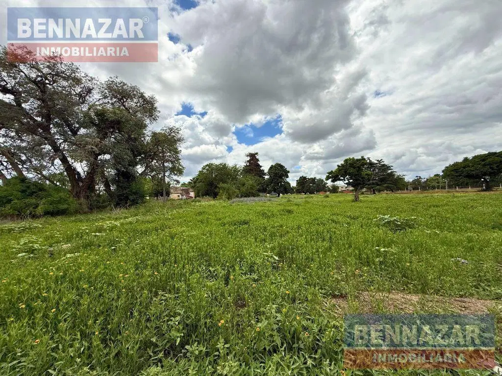 Terreno en San Pedro 5