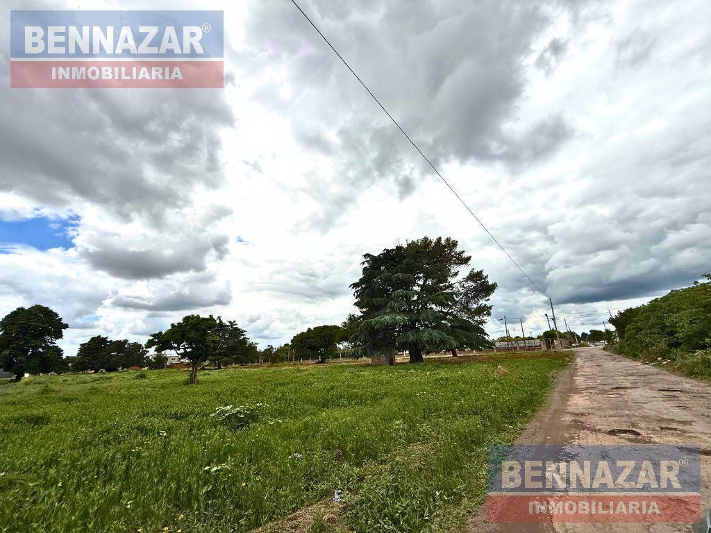 Foto de Terreno en San Pedro, imagen 2