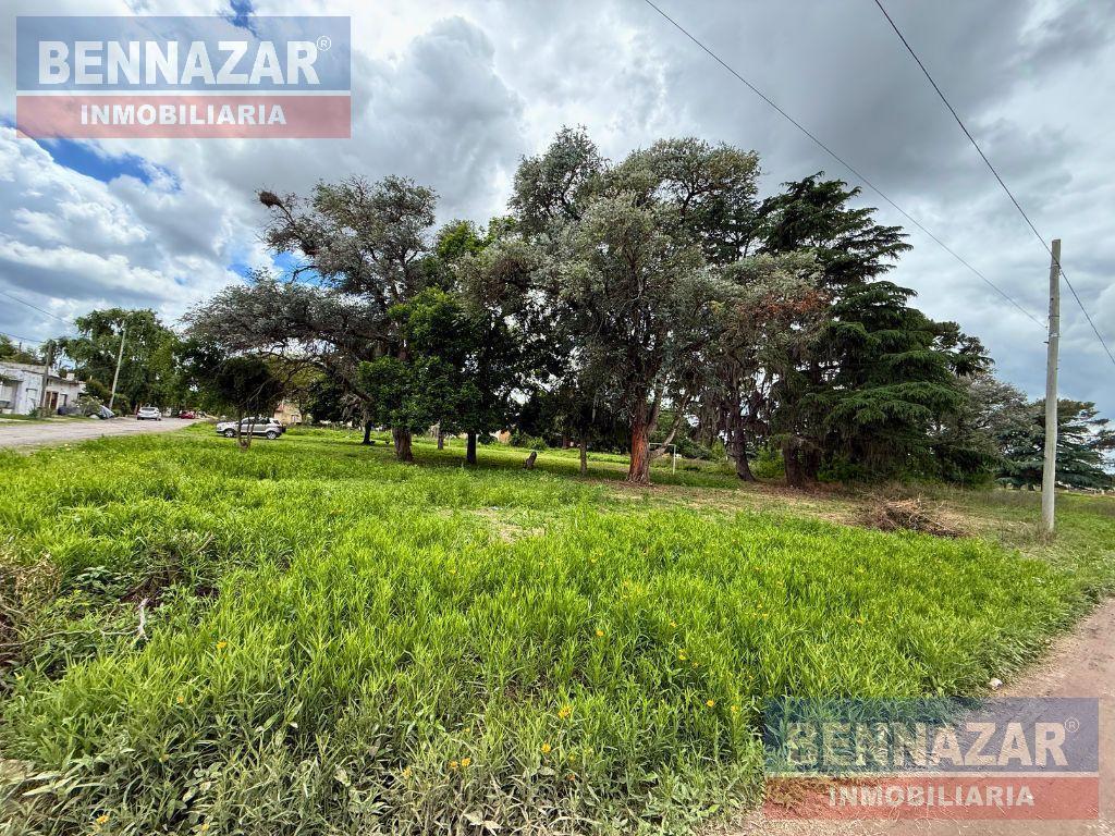 Foto de Terreno en San Pedro, imagen 5