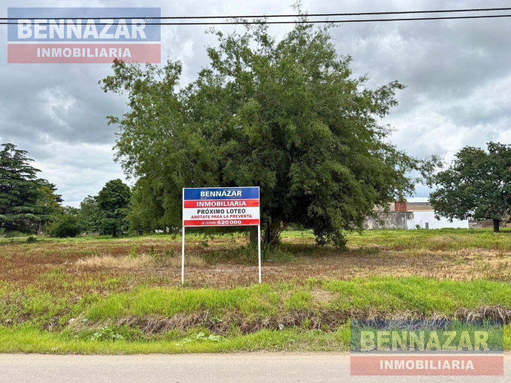 Foto de Terreno en San Pedro, imagen 3