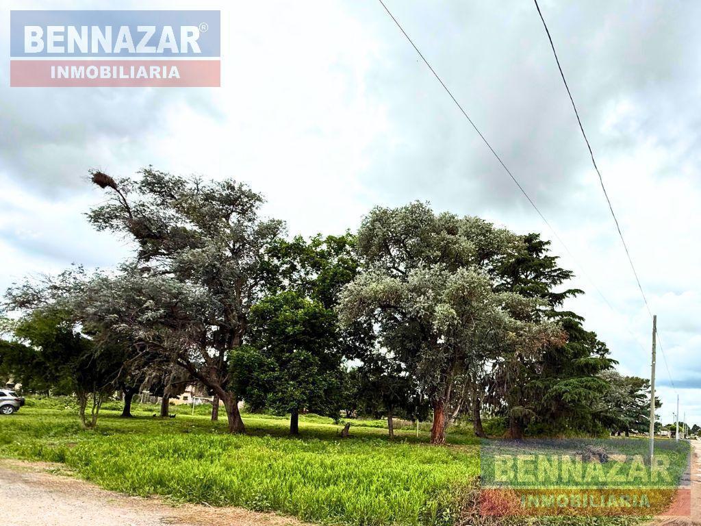 Foto de Terreno en San Pedro, imagen 3