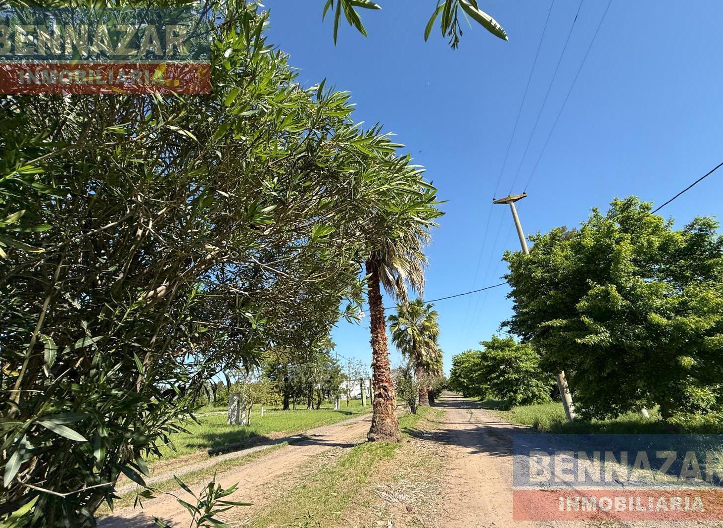 Foto de Casa en VENTA, imagen 5