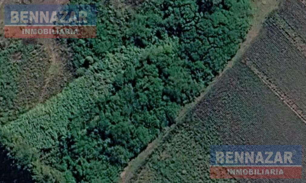 Foto de Campo en Rio Tala, imagen 5