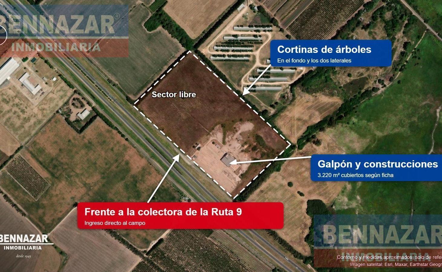 Foto de GALPON INDUSTRIAL LOGISTICO RN 9 Km 151 Rio Tala San Pedro, imagen 3