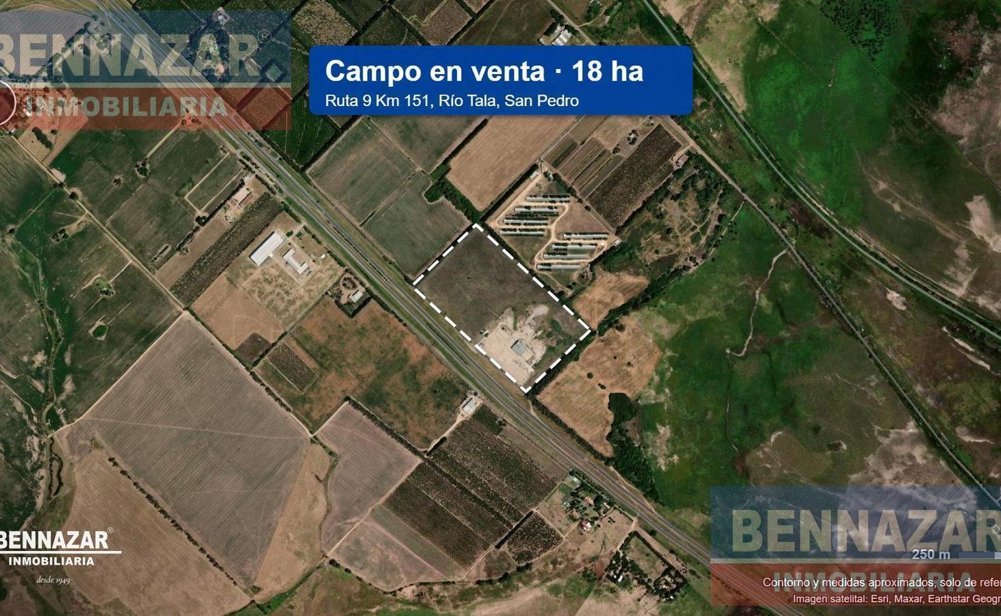 Foto de GALPON INDUSTRIAL LOGISTICO RN 9 Km 151 Rio Tala San Pedro, imagen 4