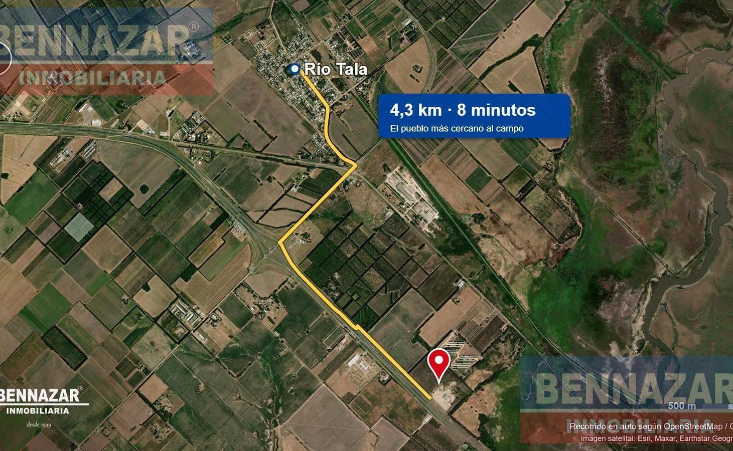 Foto de GALPON INDUSTRIAL LOGISTICO RN 9 Km 151 Rio Tala San Pedro, imagen 5