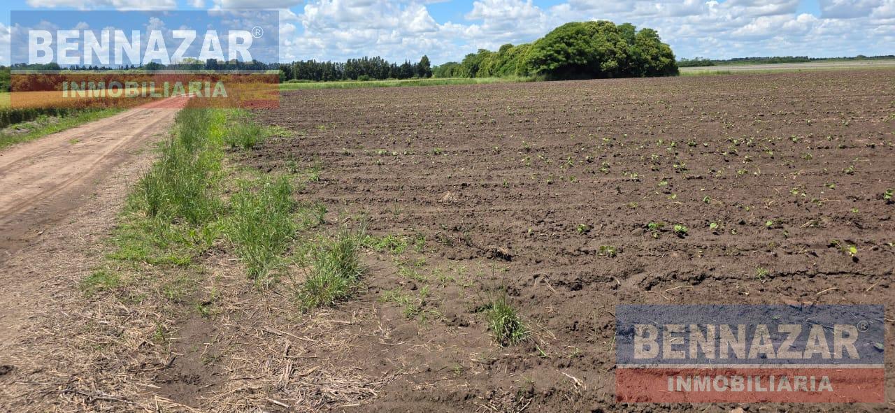 Foto de Campo camino a Vuelta de Obligado IDEAL FIN DE SEMANAS!, imagen 1