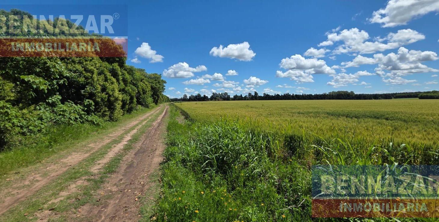 Foto de Campo camino a Vuelta de Obligado IDEAL FIN DE SEMANAS!, imagen 2