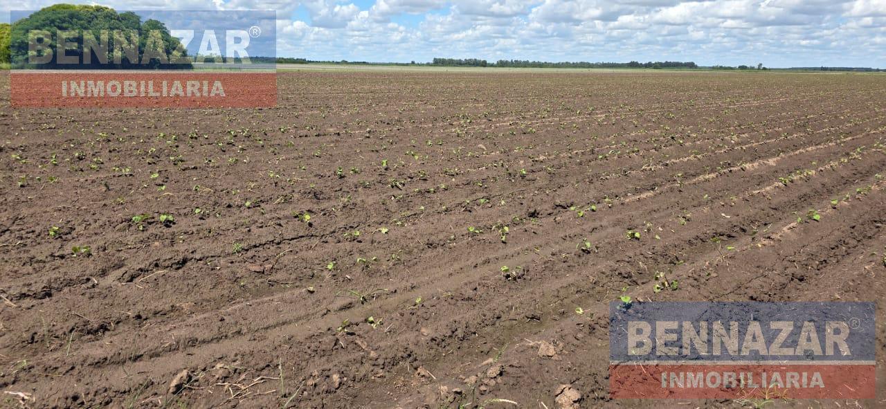 Foto de Campo camino a Vuelta de Obligado IDEAL FIN DE SEMANAS!, imagen 5