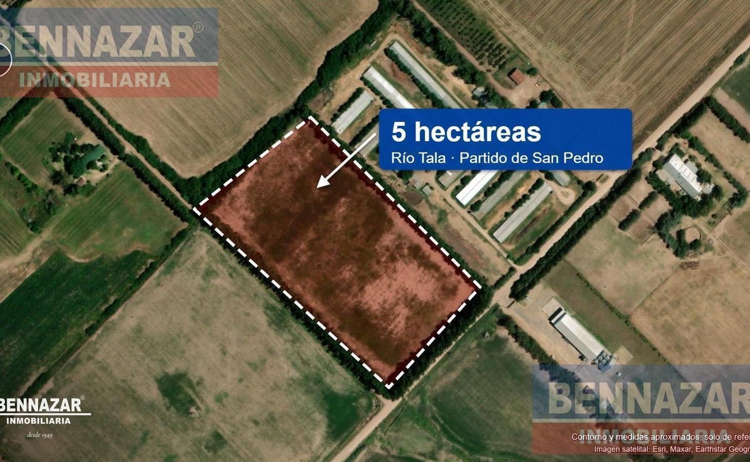 Foto de 5 HECTAREAS EN VENTA, RIO TALA, LA CELINA, SAN PEDRO, imagen 4