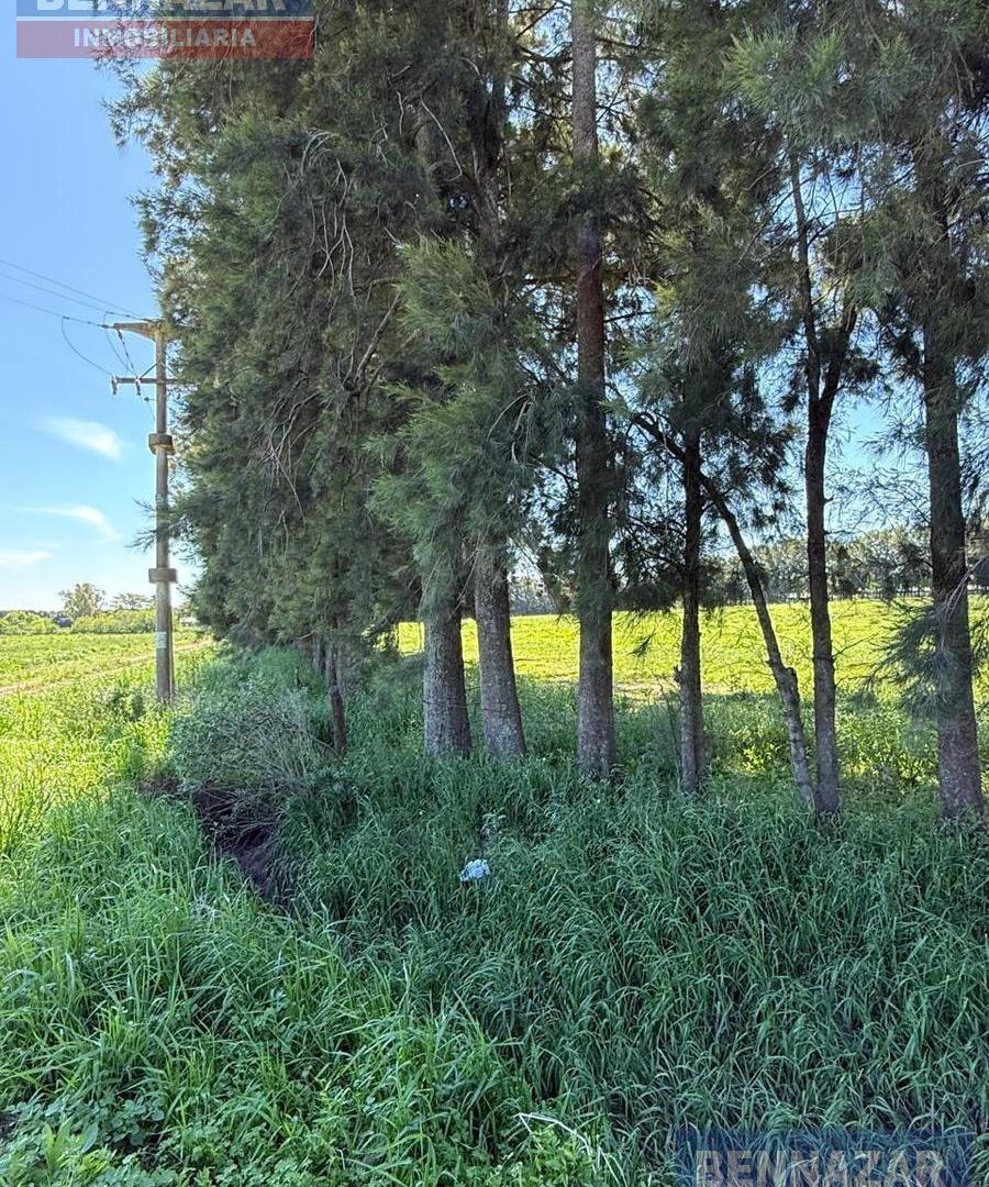Foto de 5 HECTAREAS EN VENTA, RIO TALA, LA CELINA, SAN PEDRO, imagen 2