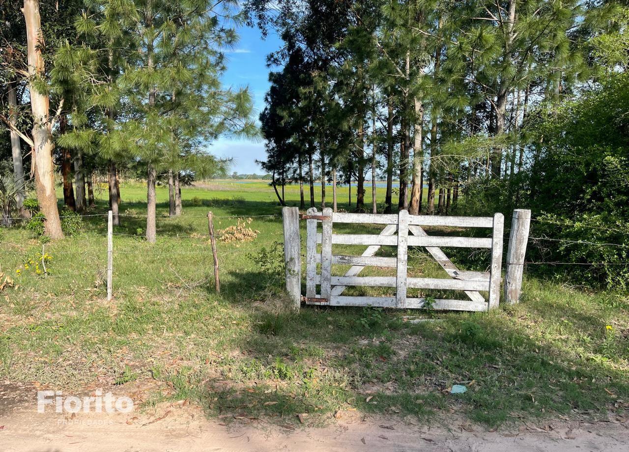 Foto de Campo en Goya, imagen 3