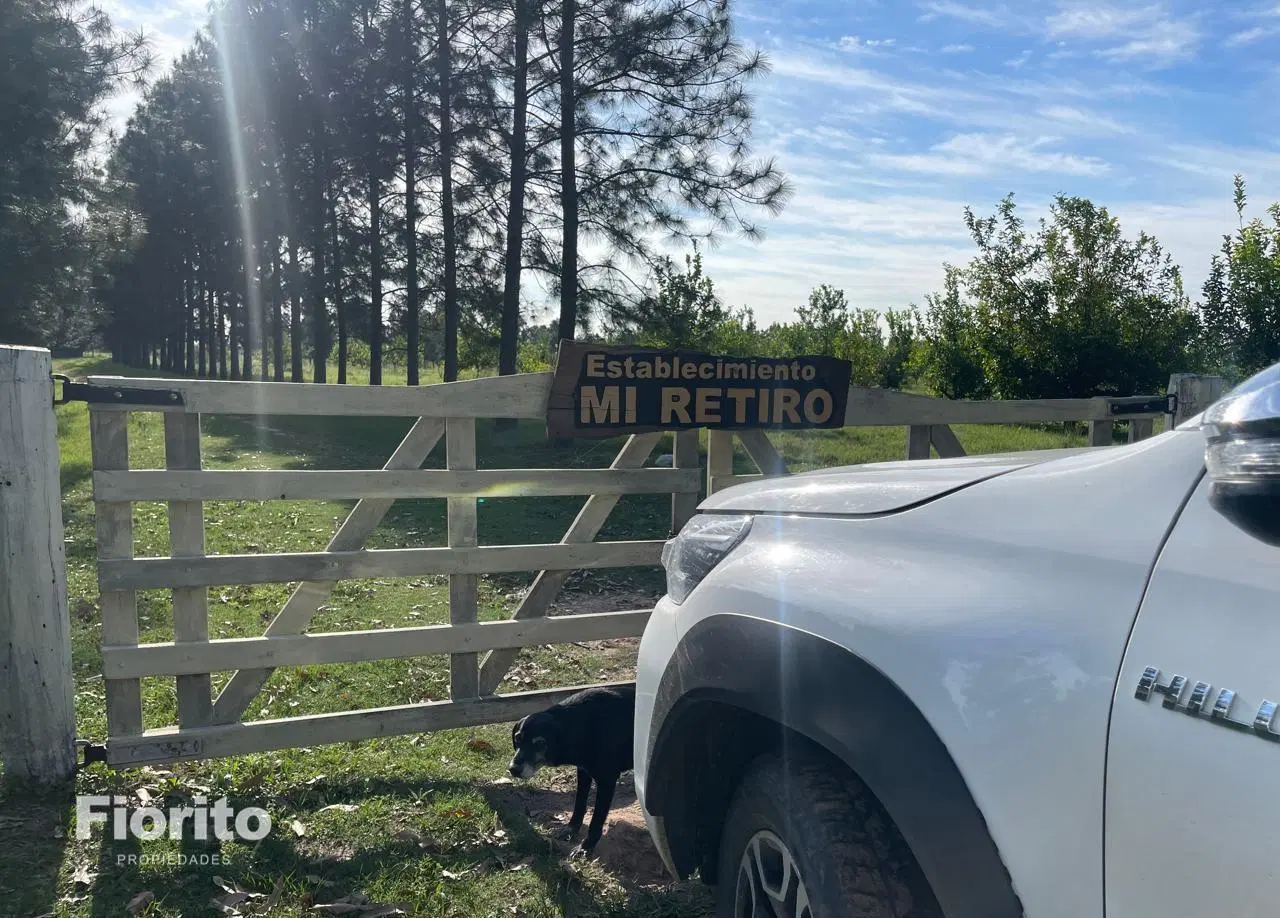 Campo en Goya 4