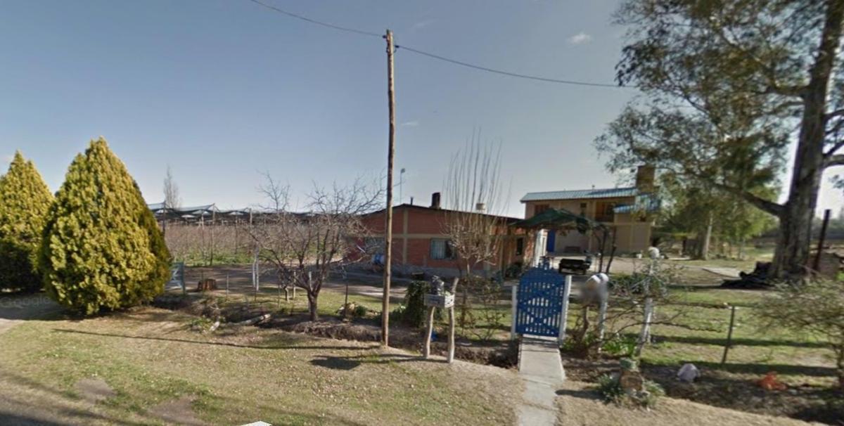 Chacra de 9 Ha, con 2 Casas, Viñedos y Ciruelos a 10 Kms de San Rafael 3