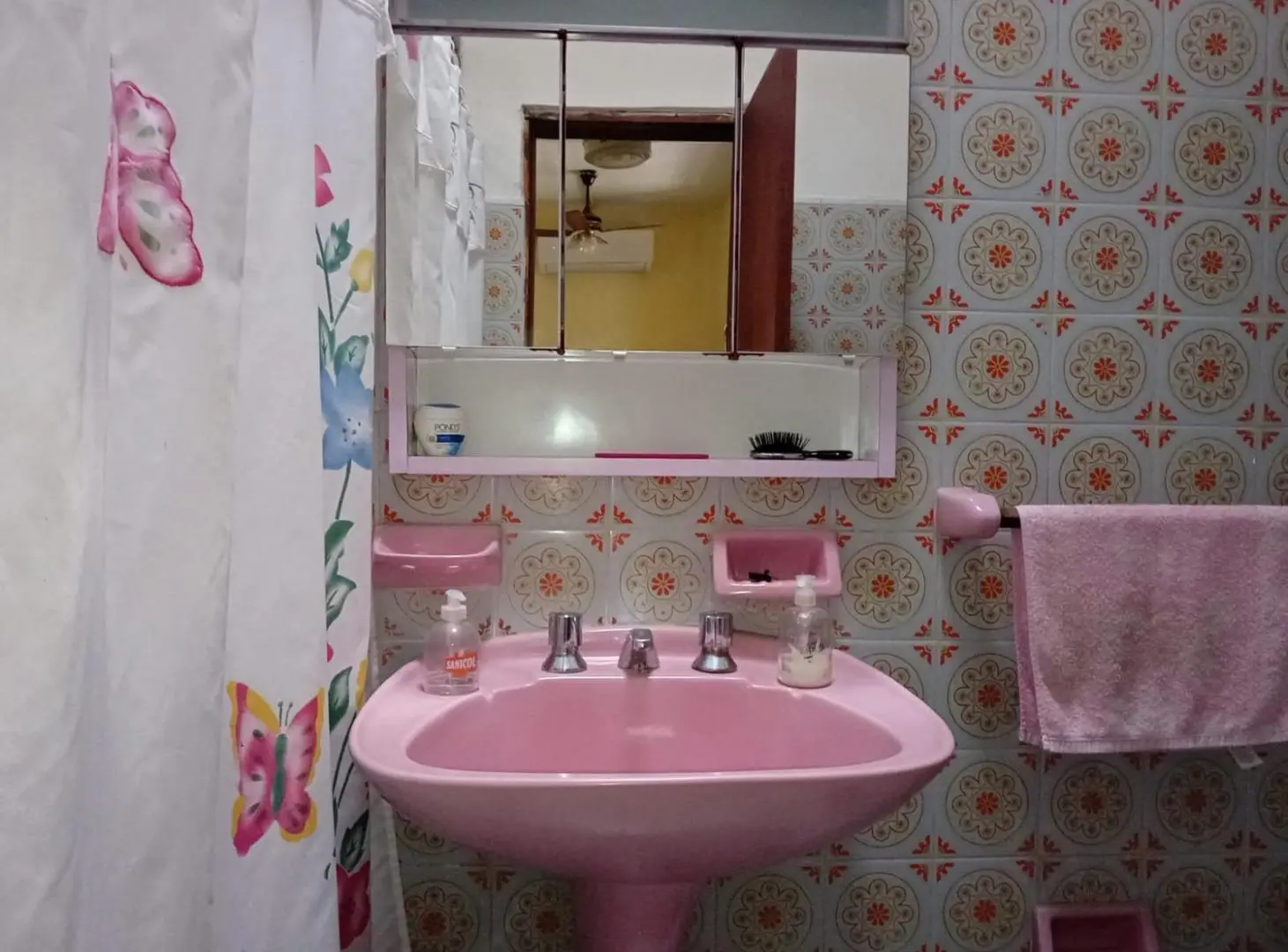 Casa en Remedios De Escalada 8