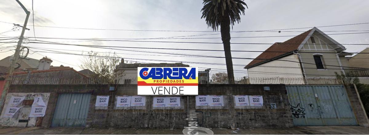 Foto de Castelli al 100, imagen 3