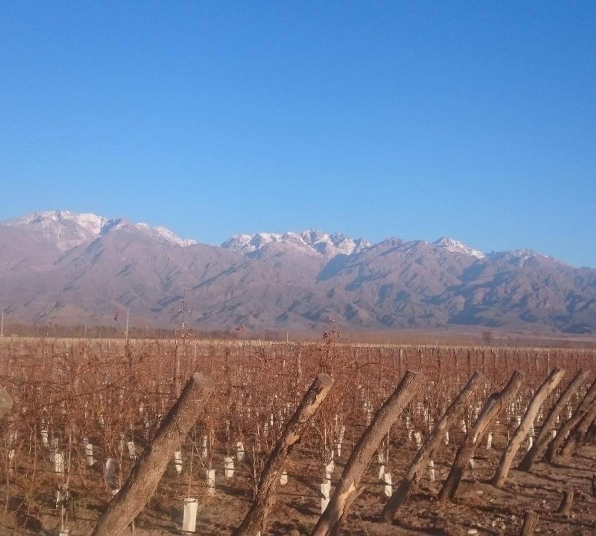 Fincas en Venta Valle de Uno 4