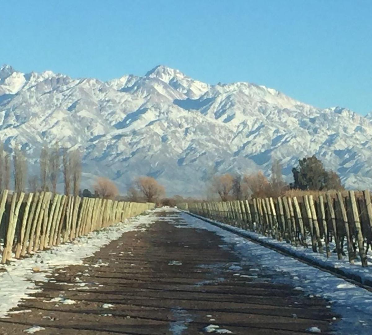 Fincas en Venta Valle de Uno 5