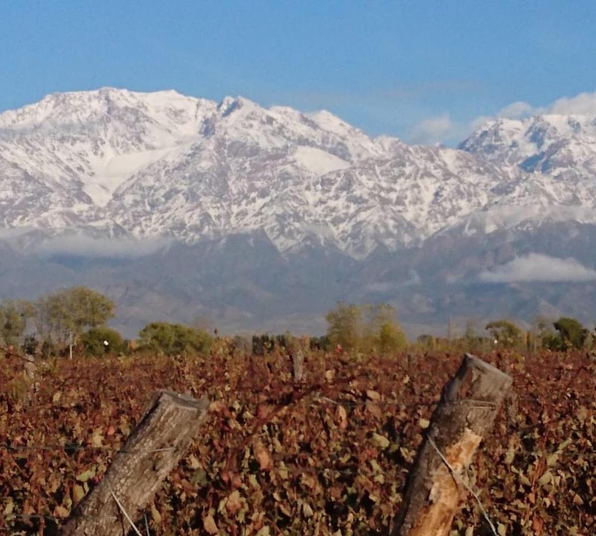 Fincas en Venta Valle de Uno 1
