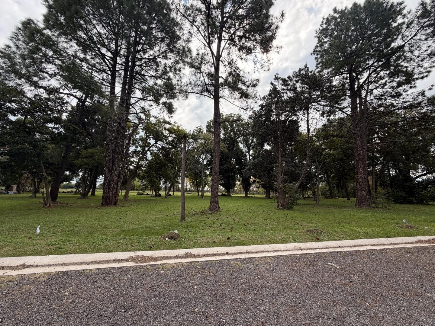 Foto de Terreno en Barrio San Juan Bautista, imagen 2