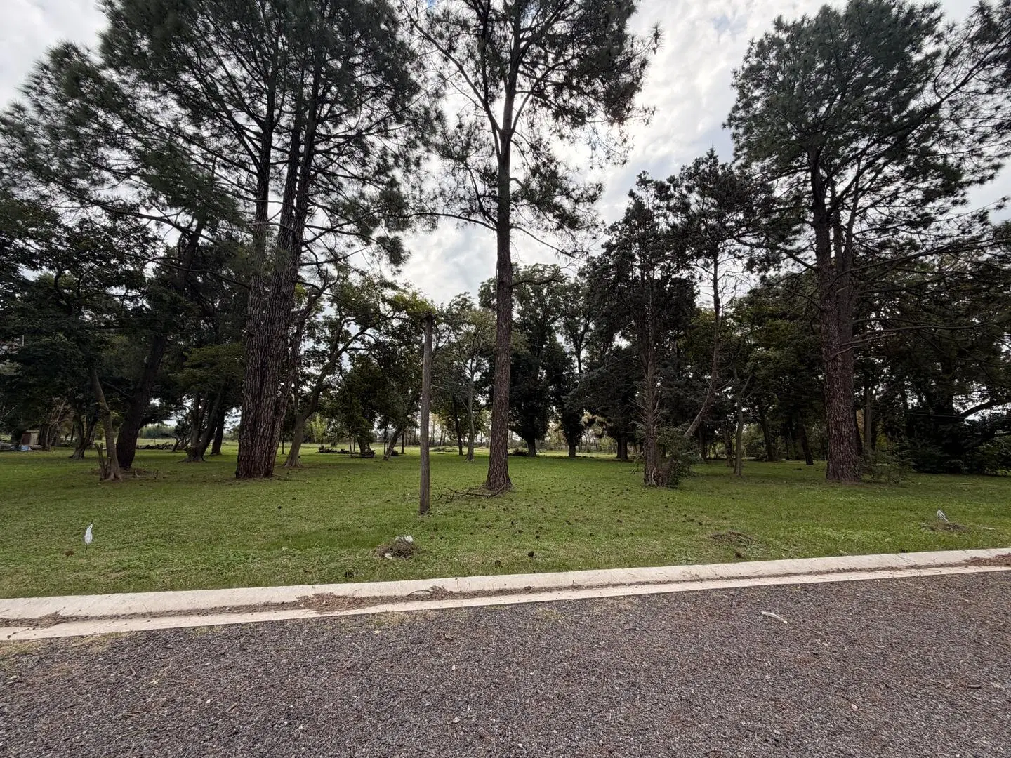 Terreno en Barrio San Juan Bautista 2