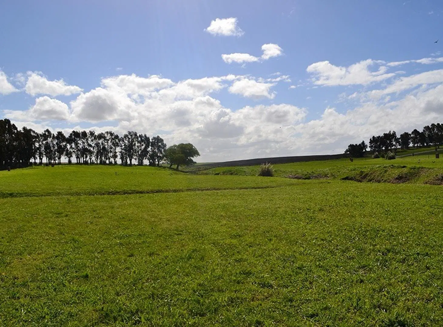 El mejor Lote de Barrancas de San Benito Chapadmala en Venta 3
