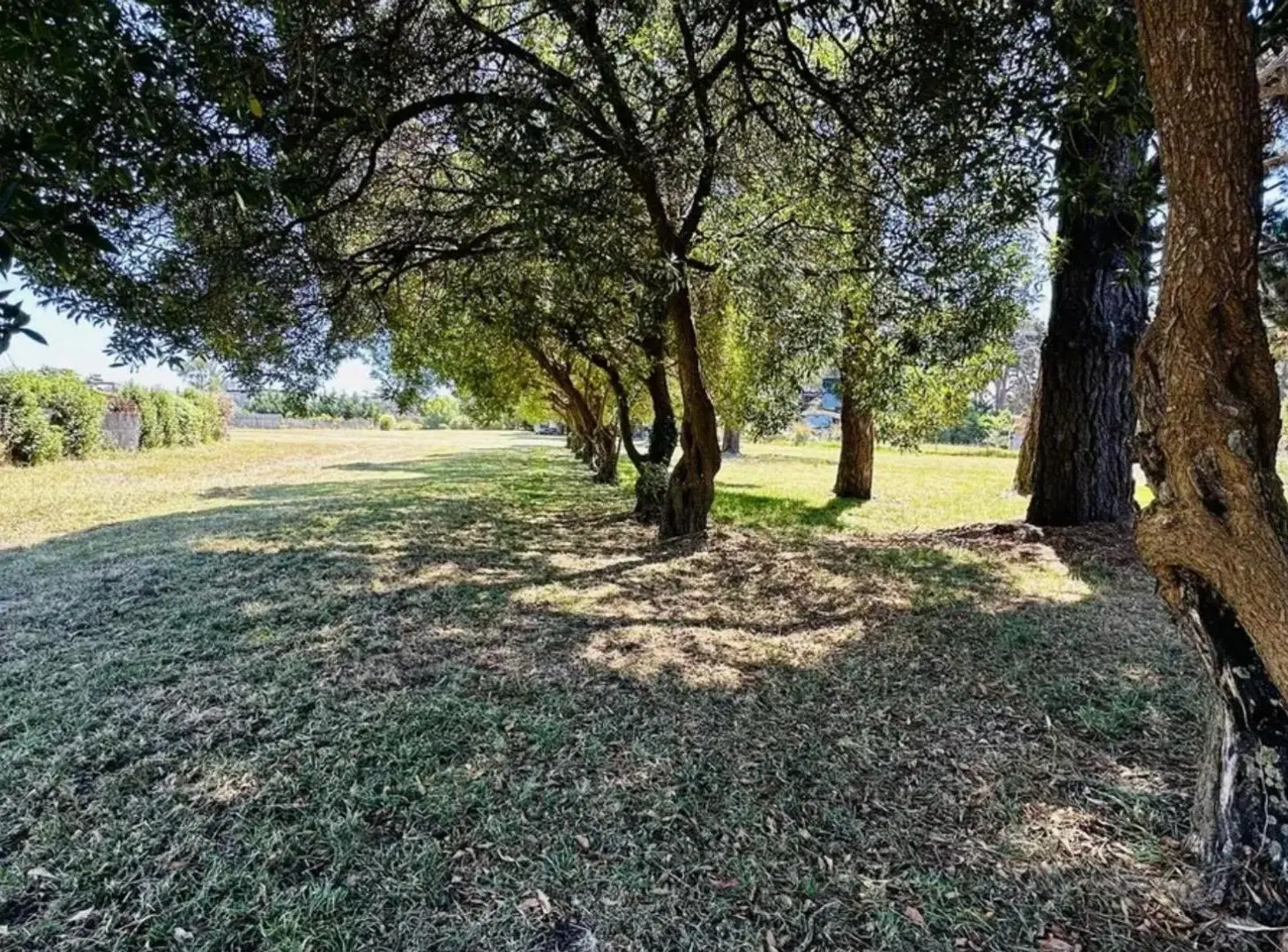 El mejor Lote de Barrancas de San Benito Chapadmala en Venta 8